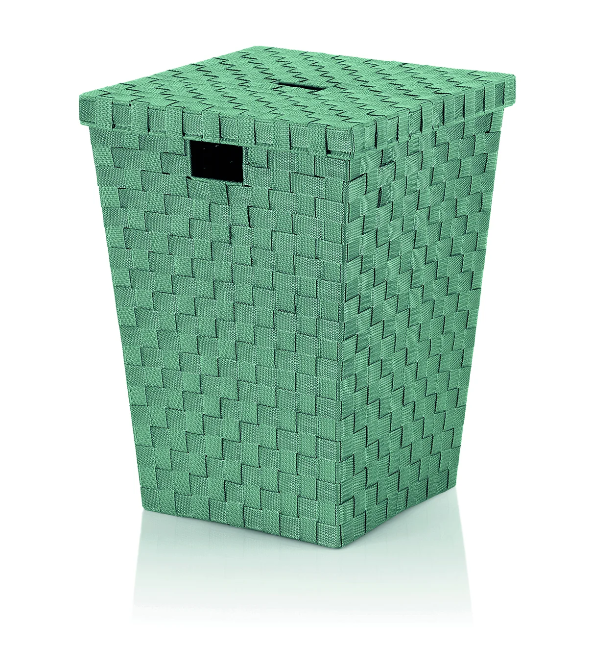 24519.webp ALVARO Green Korpa za ves plastika - Image 1