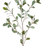 Dekorativni cvijet Eucalyptus spray x5 green