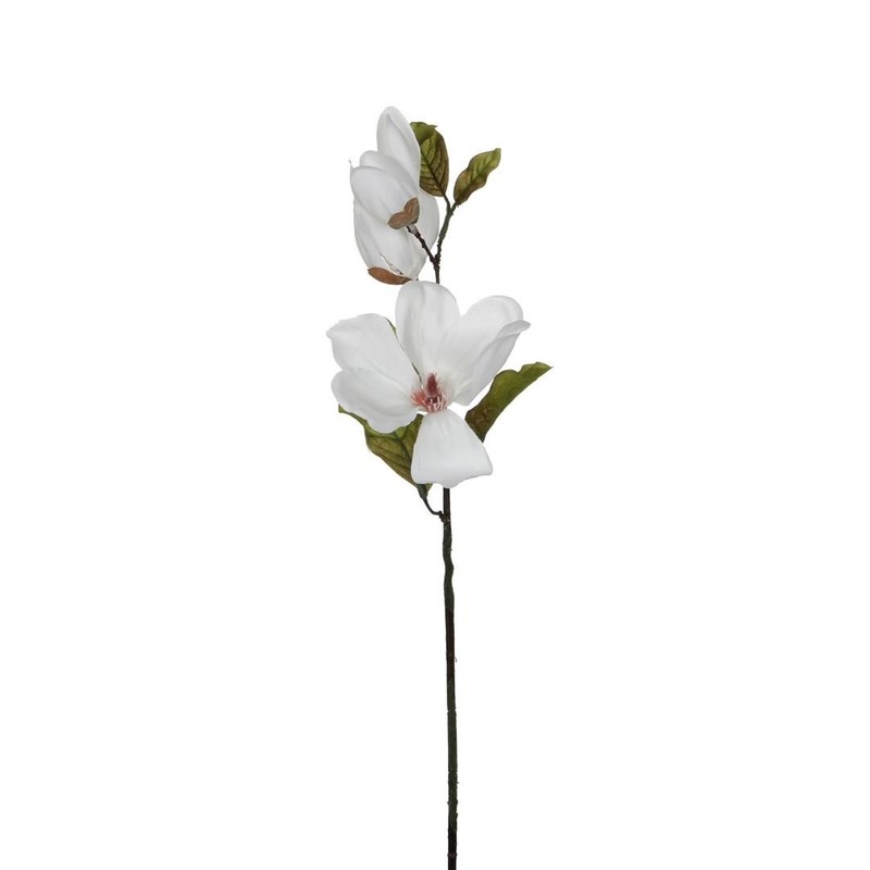 ED-1040571_1_2_b Dekorativni cvijet Magnolija bijela - Image 1