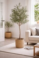 Dekorativna maslina u saksiji plastika