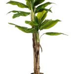 Dekoracija Banana 21lvs plastika