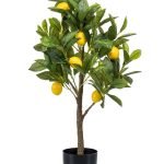 Dekorativni limun u saksiji plastika