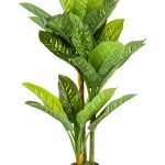 Dieffenbachia Dekoracija cvijet u saksiji 26lvs plastika