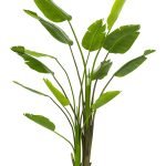 Strelitzia Dekoracija cvijet u saksiji 13lvs plastika