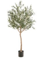 Dekorativna maslina u saksiji plastika - Image 3