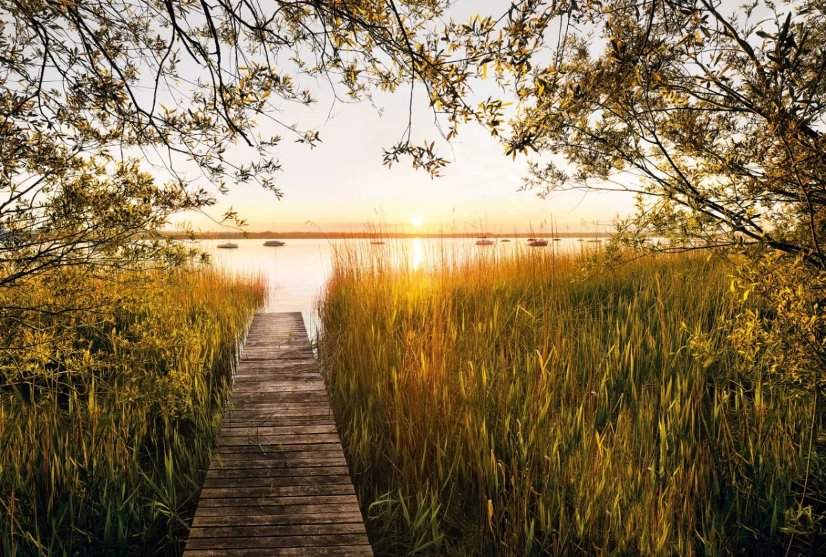 Fototapeta Lakeside  papir - Image 2