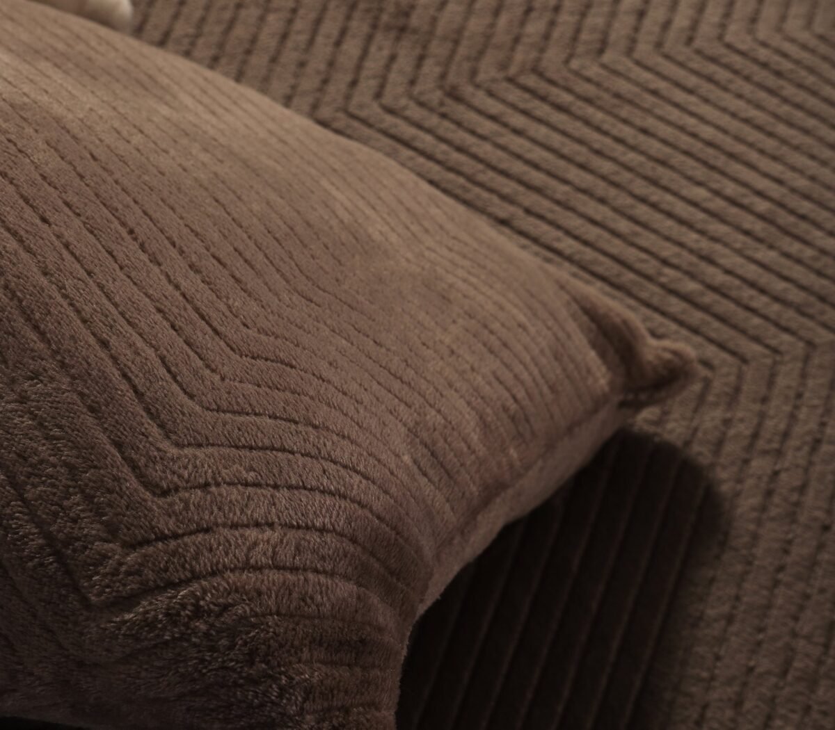 BEIGE Dekorativni jastuk DAKARI - Image 5