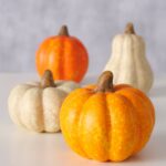 Dekoracija Bundeva Pumpky
