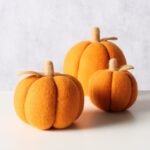 Set 3 Bundeve   Tikva - Image 26