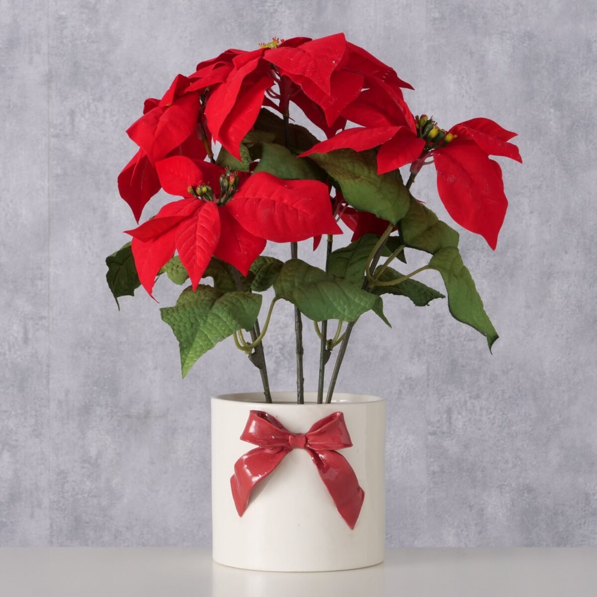 Saksija Bow - Image 4