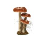 Mushroom dekoracija - Image 4