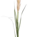 PAMPAS Dekoracija cvijet