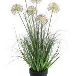 Dekoracija Trava u saksiji