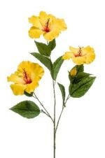 Hibiscus Dekorativni cvijet - Image 2