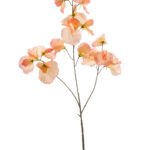 LATHYRUS Dekoracija <br>cvijet