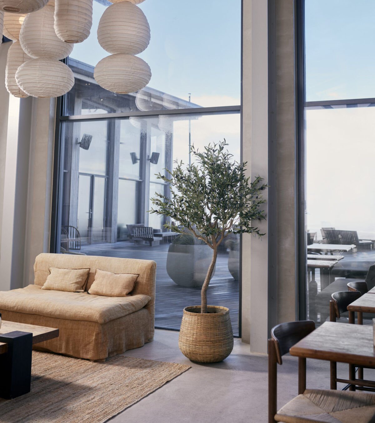 Dekorativna maslina u saksiji plastika - Image 2