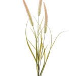 FOXTAIL Dekoracija <br>grana