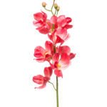 Mokara Dekorativni cvijet