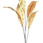 Aspidistra Dekorativna grana