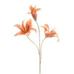 Lily Dekorativni cvijet coral