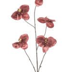 Phalaenopsis Dekorativni cvijet