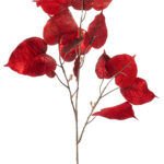 Ficus Dekorativni cvijet