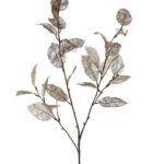 Shallon Dekorativna grana