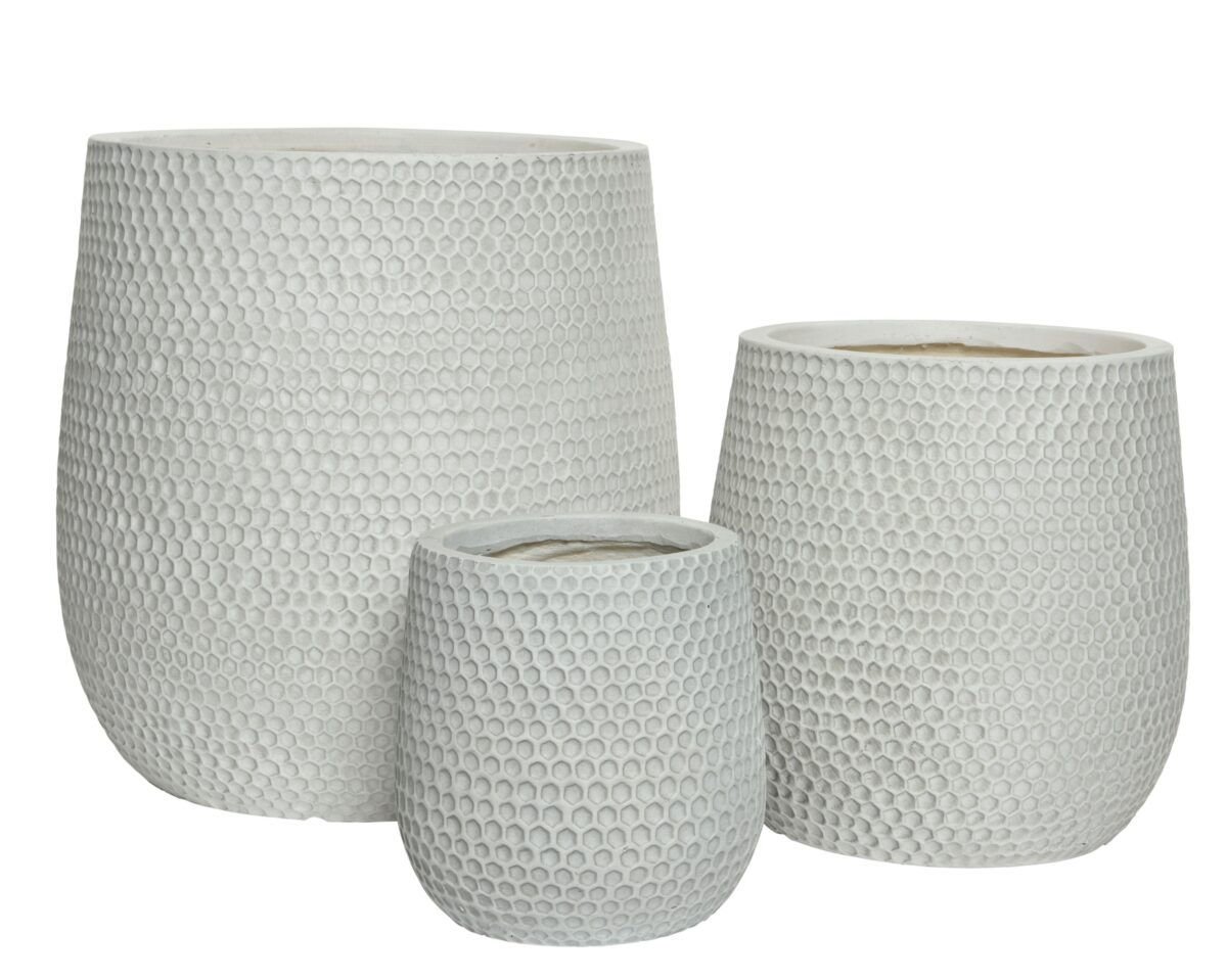 Zoe Saksija - Image 3