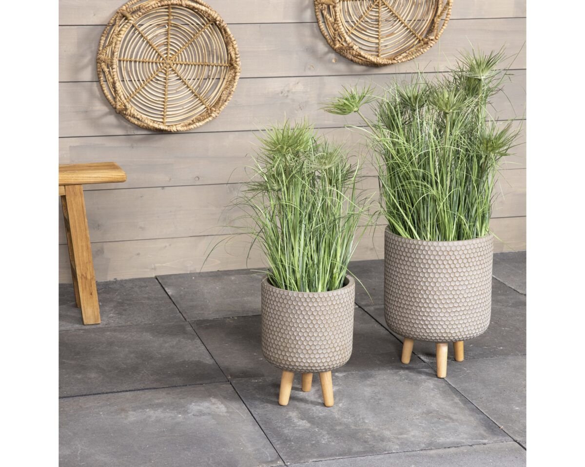 Zoe Saksija sa nogarima - Image 2