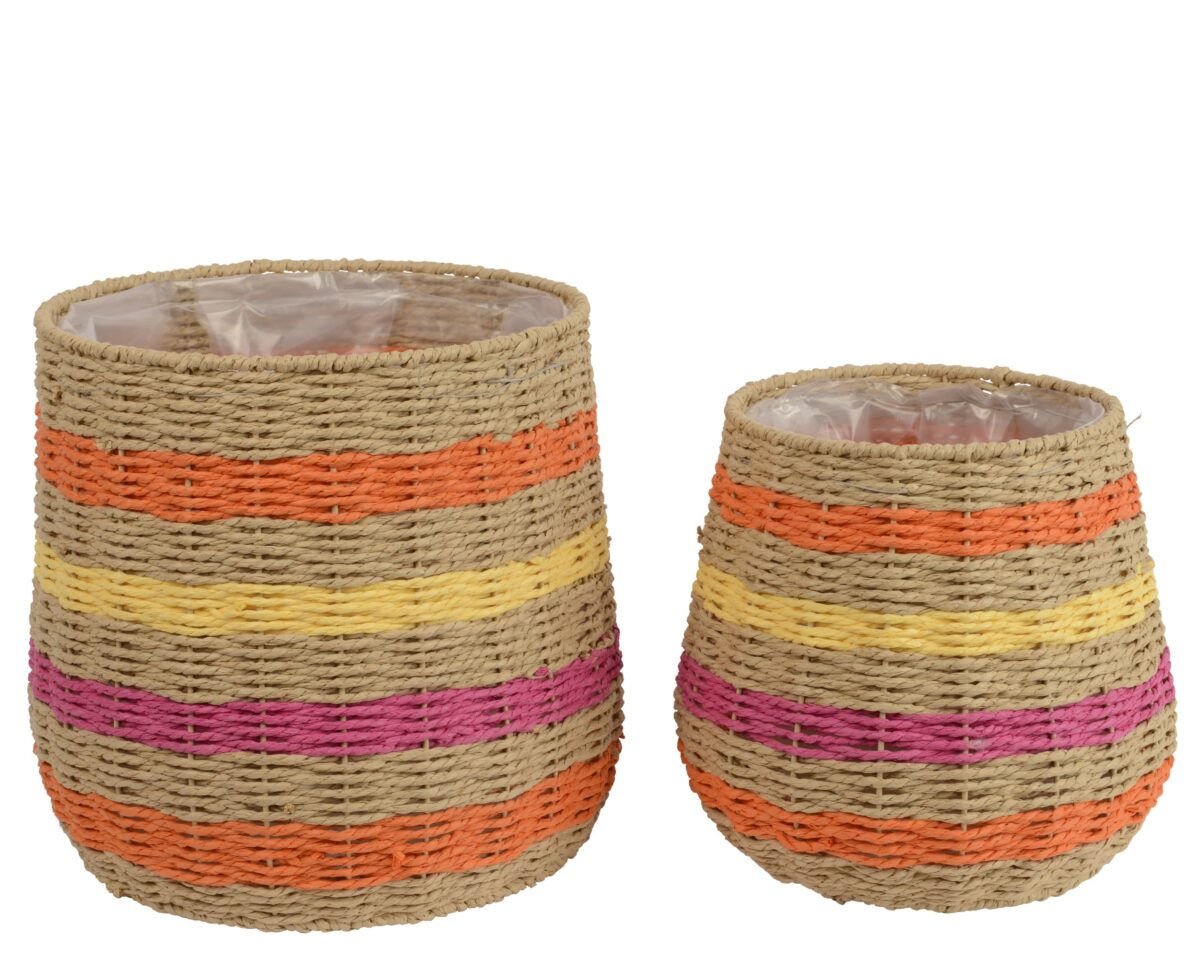 Saksija u boji - Image 2