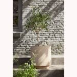 Leo Saksija - Image 2