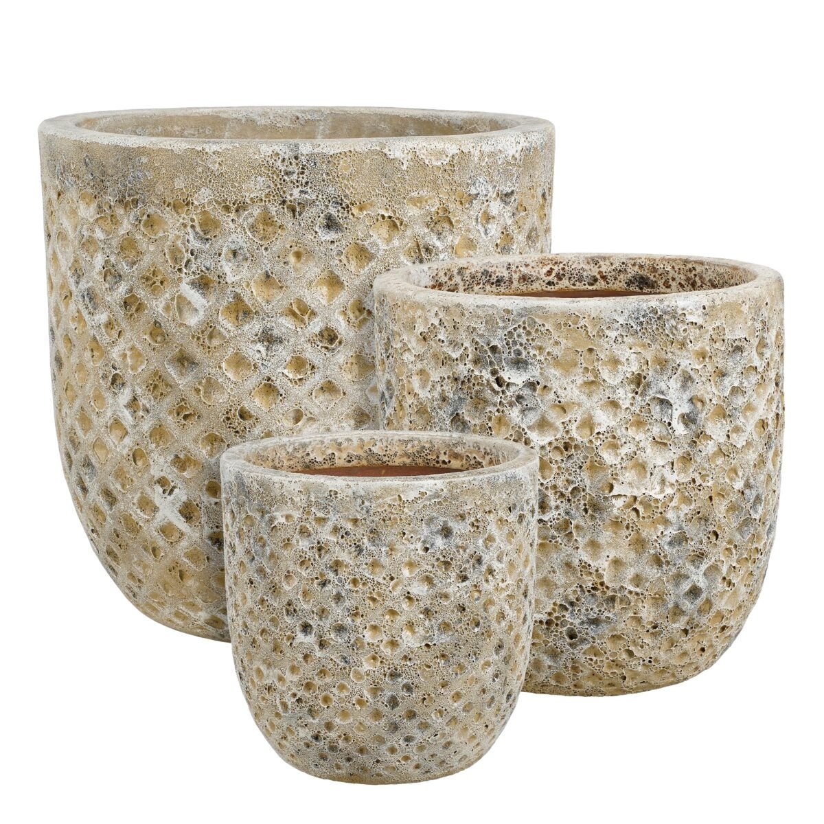 MACHU Saksija - Image 3