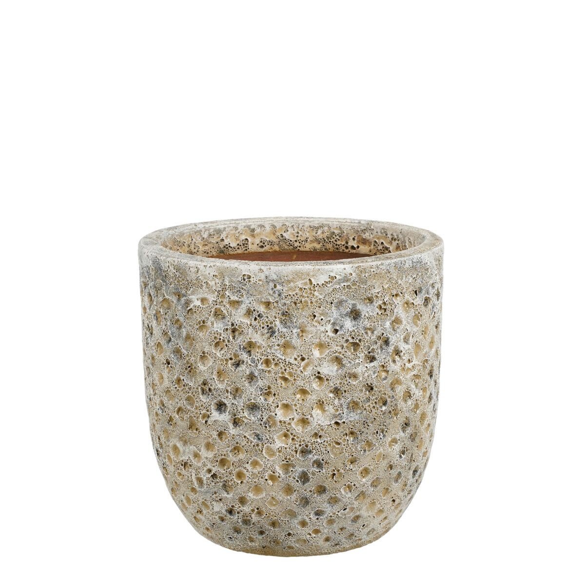 MACHU Saksija - Image 2