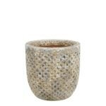 MACHU Saksija - Image 2