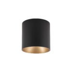 EYE TONE plafonski spot