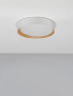 STAKE plafonjerka - Image 3