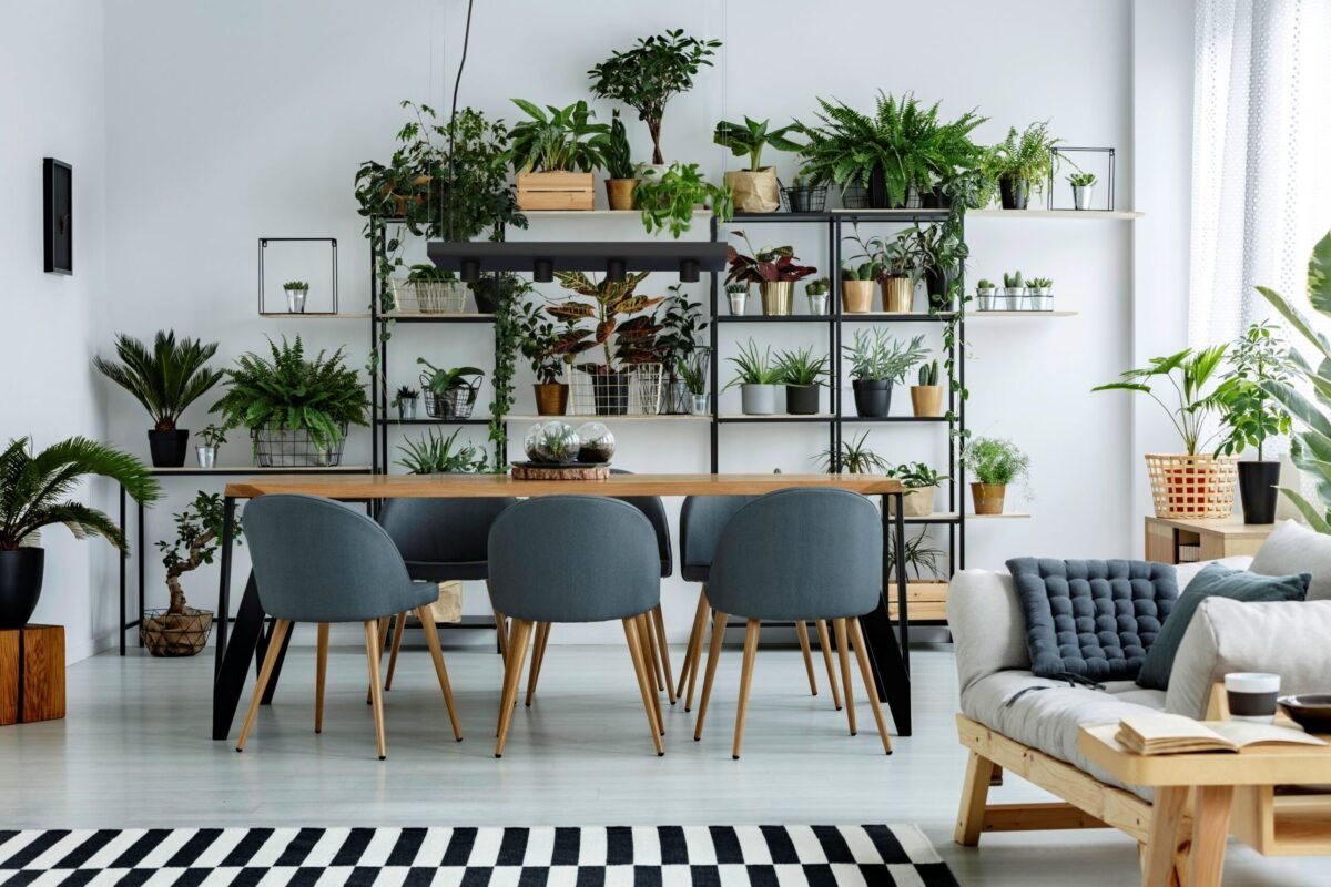 PLANT luster - Image 3