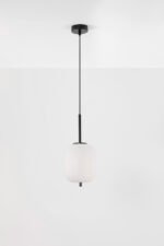 LATO visilcia - Image 3