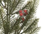 Grančica crvene bobice - Image 2