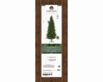 KILLINGTON Jelka GREEN - Image 6